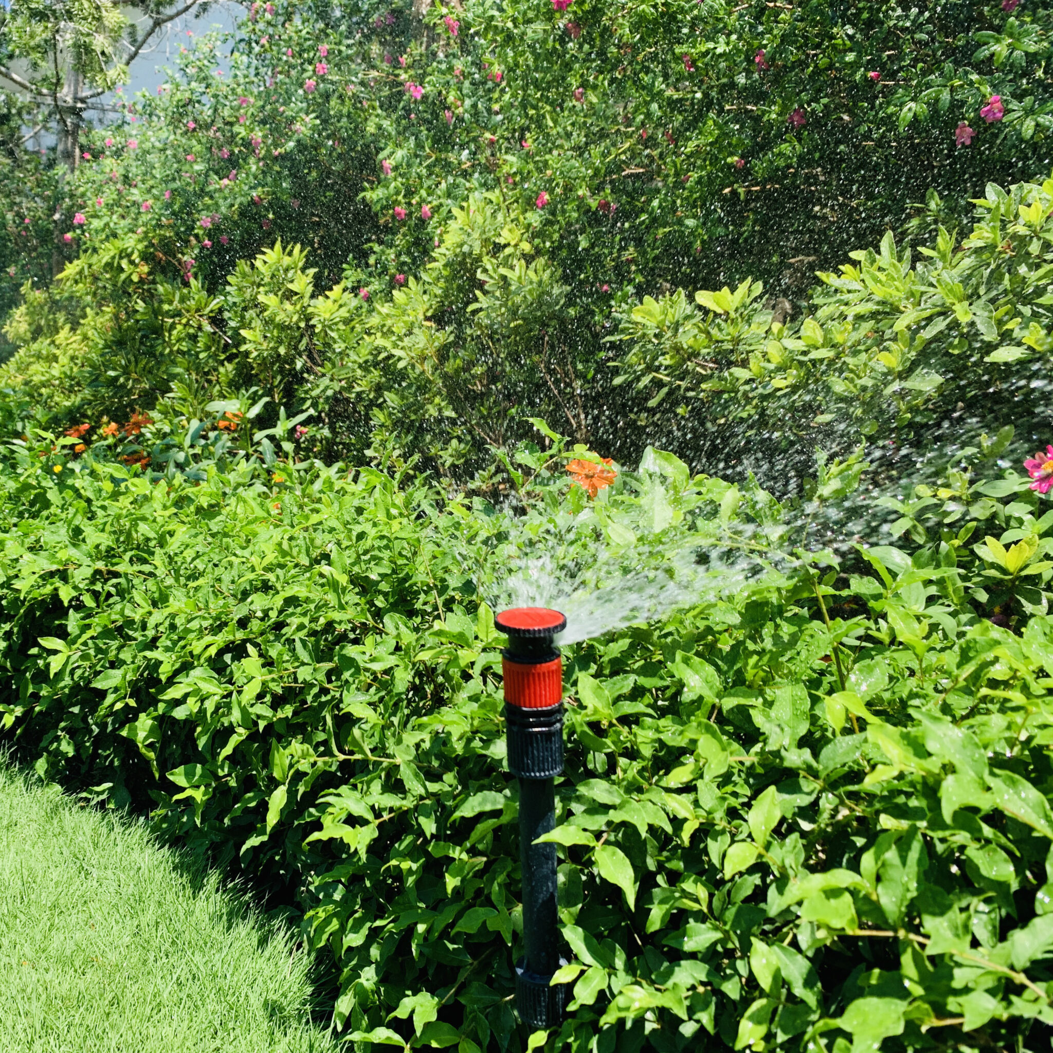 Flex Design Sprinkler Set Eden Garden